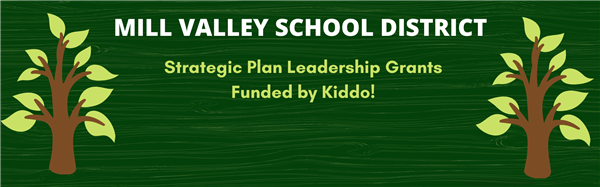 strategic plan leadership grants strategic plan leadership grants